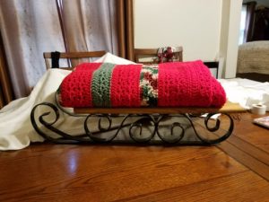 Minature Sled with blanket