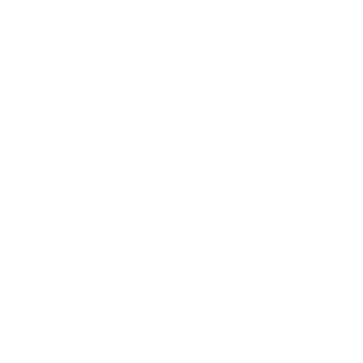 TaTa Rebels White Wing Logo